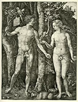 Images Dated 17th October 2013: Adam and Eve