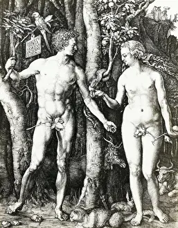 Adam and Eve by Albrecht Durer