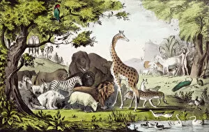 Keith Lance Illustrations Collection: Adam Names the Animals in the Garden of Eden