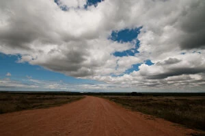 Images Dated 12th November 2011: addo national park, color image, day, desert road, dirt road, eastern cape, horizon over land