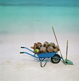 Images Dated 21st April 2008: Adnet, No People, Outdoors, Day, Square Image, Large Group Of Objects, Coconut