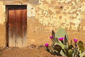 Adobe Wall and Wooden Door with Flowering cactus in Oaxaca
