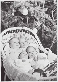 Hope Prints: Adoptive Babies Poised in Basket Underneath Christmas Tree