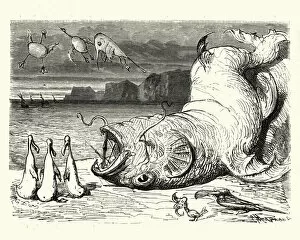 Images Dated 21st September 2017: Adventures of Baron Munchausen, Dead Sea Monster