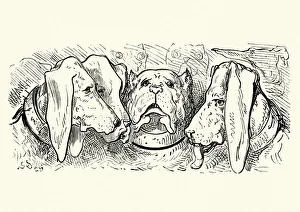 Images Dated 13th April 2017: Adventures of Baron Munchausen - The Hounds