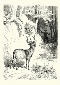 Images Dated 13th April 2017: Adventures of Baron Munchausen - The Stag