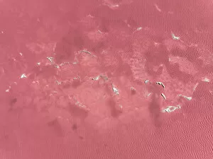 Aerial shot looking down on salt textures, Laguna Colorada, Bolivia