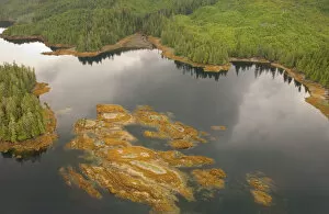 aerial view, alaska, coastline, color image, day, forest, horizontal, island, lake