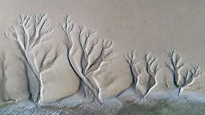 Desert Aerial Art Prints: Aerial view of amazing natural shapes and textures created by tidal changes