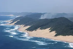 Copys Prints: aerial view, beach, coastal forest, color image, colour image, copy space, day, dune