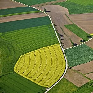Aerial view, farmland and fields, Biberach district, Baden-Wuerttemberg, Germany, Europe