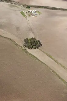 Andalucia Prints: Aerial view, fields in the Sierra de Cadiz, Andalusia, Spain