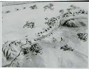 Goat Prints: Aerial View of Grazing Area for Animals