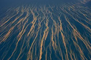Queensland Prints: Aerial view of the Great Barrier Reef, UNESCO World Heritage Site, Queensland, Australia