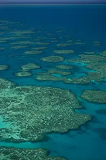Queensland Prints: Aerial view of the Great Barrier Reef, UNESCO World Heritage Site, Queensland, Australia