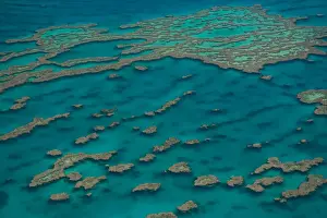 Queensland Prints: Aerial view of the Great Barrier Reef, UNESCO World Heritage Site, Queensland, Australia