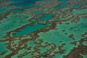 Queensland Prints: Aerial view of the Great Barrier Reef, UNESCO World Heritage Site, Queensland, Australia