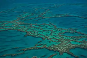 Queensland Prints: Aerial view of the Great Barrier Reef, UNESCO World Heritage Site, Queensland, Australia