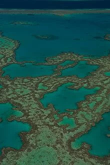 Images Dated 18th September 2008: Aerial view of the Great Barrier Reef, UNESCO World Heritage Site, Queensland, Australia