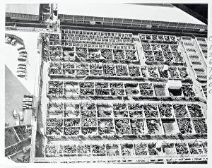 Omaha Prints: Aerial View of Livestock Yards