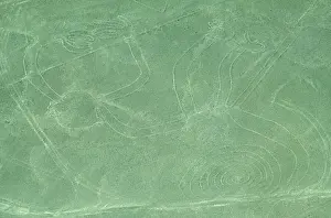 Aerial View of The Monkey Nazca Lines
