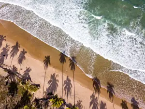 Aerial view of Palm Beach and the sea in Praia do Paiva - Praia de Itapuama - Pedra de Xareu