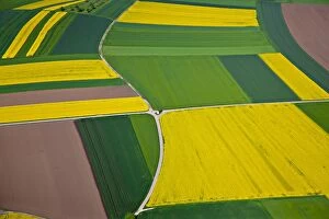 Aerial view, rapeseed fields, corn fields, fields, district of Biberach an der Riss, Baden-Wuerttemberg, Germany