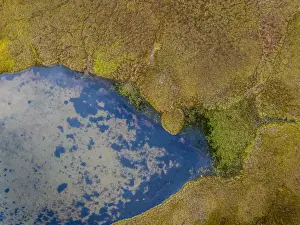Aerial view-Water Creek with Tussocks or Hummocks, Iceland