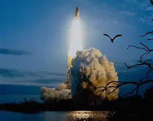 Aerospace Industry Prints: Aerospace Industry, Bird, Countdown, Dusk, Evening, Exploration, Final Frontier, Flying
