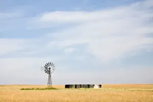 Alternative Energy Prints: Africa, Agriculture, Alternative Energy