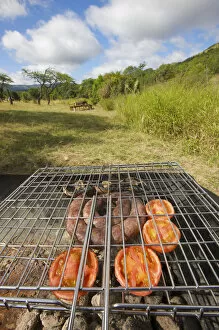 Ambient Gallery: africa, ambient, appetizing, bbq, background, barbecue, blue sky, boerewors, candid