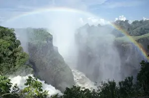 Africa, Arc, Cloud, Color Image, Day, Devils Cataract, Flowing Water, Fog, Forest