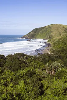 Images Dated 4th April 2013: africa, bay, beauty in nature, coastal forest, coastline, color image, colour image