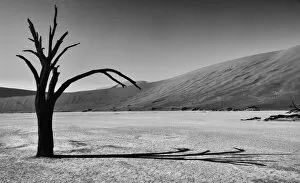 Images Dated 12th December 2009: Africa, Black, Dead Vlei, Dune, Grey, Namibia, Orange, Sand, Scale, Silver, Sossusvlei
