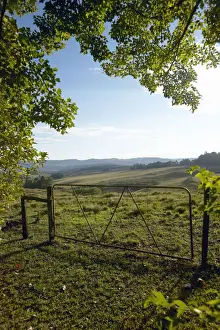 Farmhouse Prints: Africa, Branch, Cloud, Color Image, Day, Entrance, Farmhouse, Gate, Grass, KwaZulu-Natal