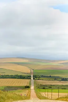 Africa, Cloud, Color Image, Crop, Day, Field, High Angle View, Horizon Over Land