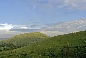 Generic Location Prints: Africa, Cloud, Color Image, Day, Generic Location, Grass, Green, Hill, Horizontal