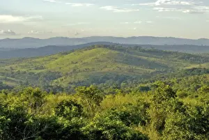 Generic Location Prints: Africa, Cloud, Color Image, Day, Forest, Generic Location, Growth, High Angle View