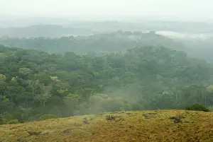 Africa, Color Image, Day, Forest, Gabon, High Angle View, Horizontal, Inselberg, Landscape