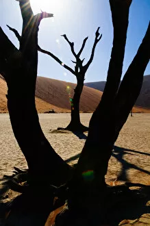 Images Dated 12th December 2009: Africa, Dead Vlei, Dune, Namibia, Orange, Sand, Sossusvlei, UNESCO, UNESCO World