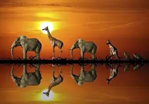 Evening Light Gallery: african, afterglow, atmospheric, backlit, caravan, evening light, evenings, graphic