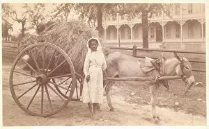 African American Girl with Donkey