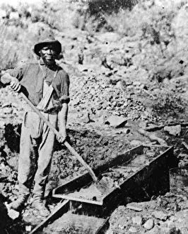 African-American Gold Miner
