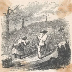 Endurance Prints: African American Slaves Working as Cotton Pickers