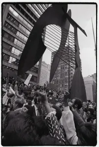 Black Power Prints: African Americans Demonstrating in Chicago