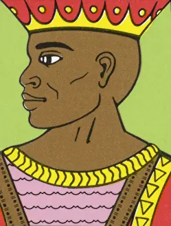 Crow Prints: African King
