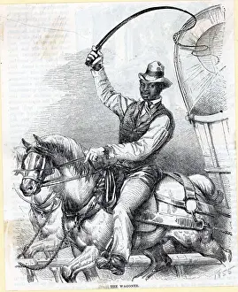 Whip Prints: African Am Man Riding Horse/Wagon;Illus
