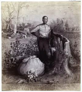 Wash Drawing Prints: African Am Man Standing In Cotton Field