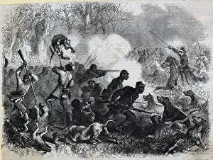 Bayonet Prints: African Am Soldiers Fight Dogs Rebel Ill