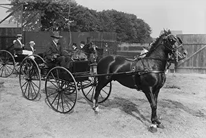 Newport Prints: A.G. Vanderbilt Driving a Carriage